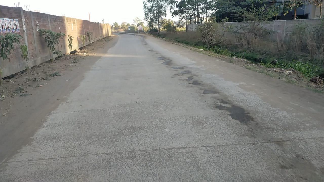 Picture 2